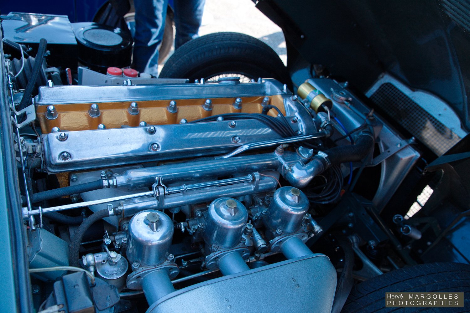 Jaguar Type E-01.jpg